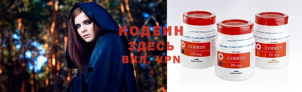 шишки Козловка