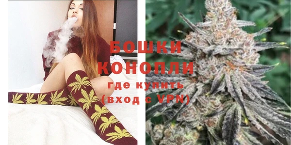шишки Козловка