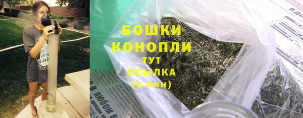 шишки Козловка