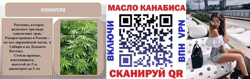 Купить где Кузнецк ТГК вейп