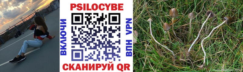 Галлюциногенные грибы мицелий  Купить где  Кузнецк 